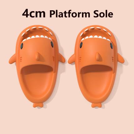 Premium Shark Slides for kids