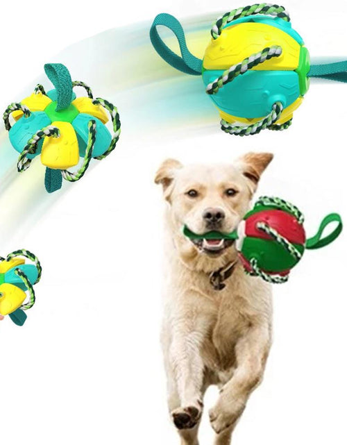 Load image into Gallery viewer, Interactive Flying Disk Ball Dog Toy
