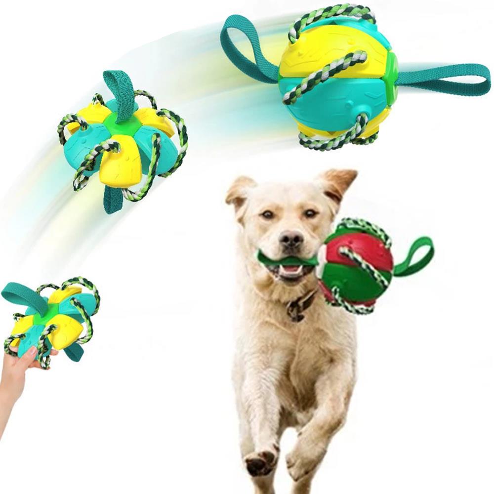 Interactive Flying Disk Ball Dog Toy