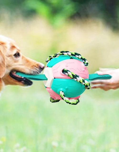 Load image into Gallery viewer, Interactive Flying Disk Ball Dog Toy
