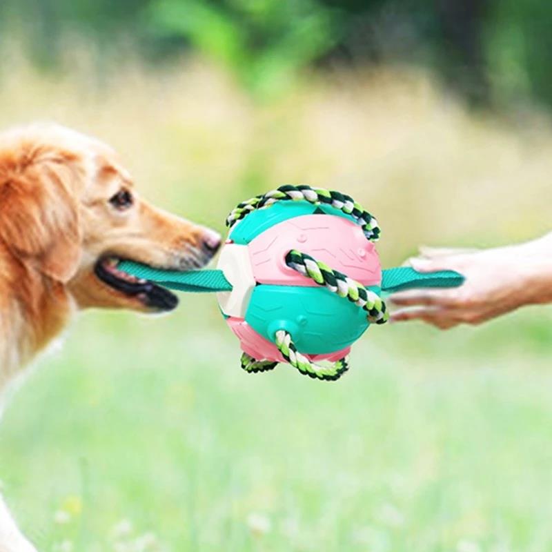 Interactive Flying Disk Ball Dog Toy