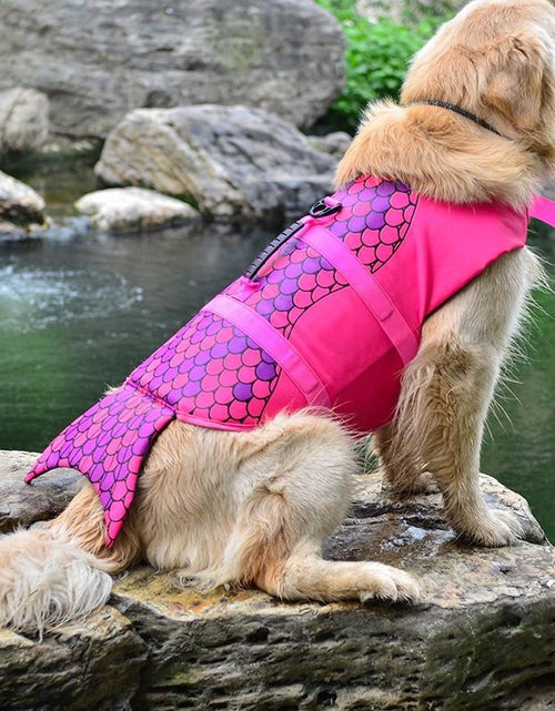 Load image into Gallery viewer, Funny Cute Dog Life Jacket
