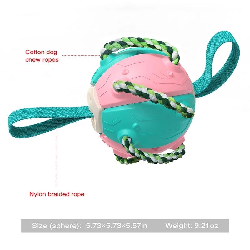 Interactive Flying Disk Ball Dog Toy